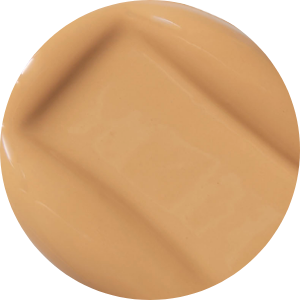 BeyondBlur™ Skin Perfecting Foundation
