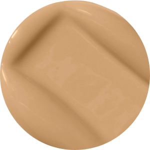 BeyondBlur™ Skin Perfecting Foundation