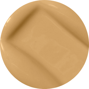 BeyondBlur™ Skin Perfecting Foundation